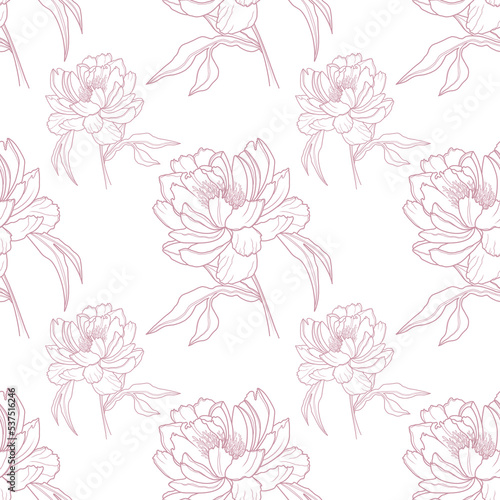 Seamless pattern, hand drawn outline pink. Peony flowers on a transparent background.