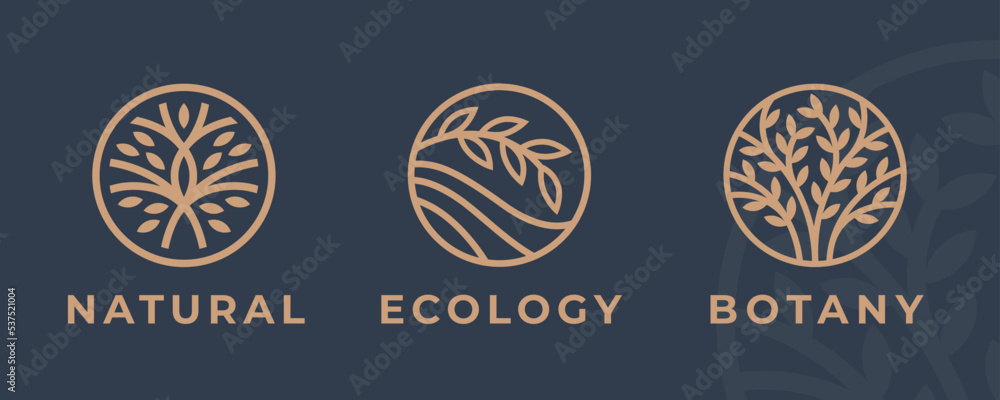Abstract Tree of life logo icons set. Eco nature symbols. Tree branch with leaves signs. Natural plant design elements emblems. Vector illustration.