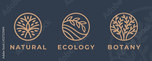Abstract Tree of life logo icons set. Eco nature symbols. Tree branch with leaves signs. Natural plant design elements emblems. Vector illustration.