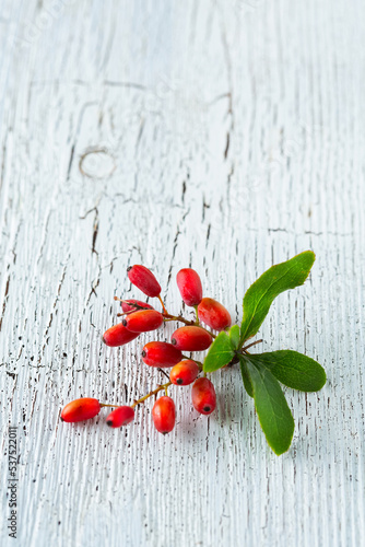 sprig of barberry on a cracked board