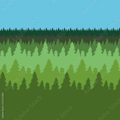 dense coniferous forest to the horizon