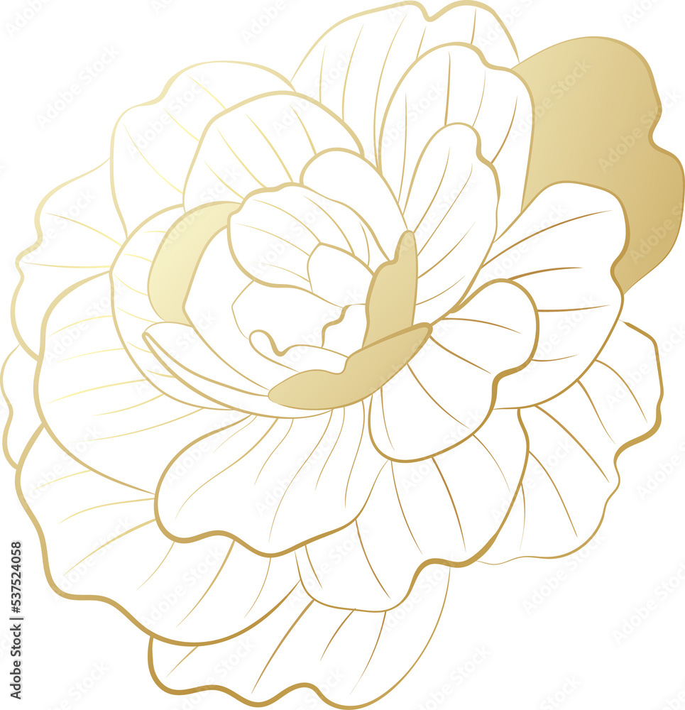 Rose flower gold line illustration Rose flower gold line illustration