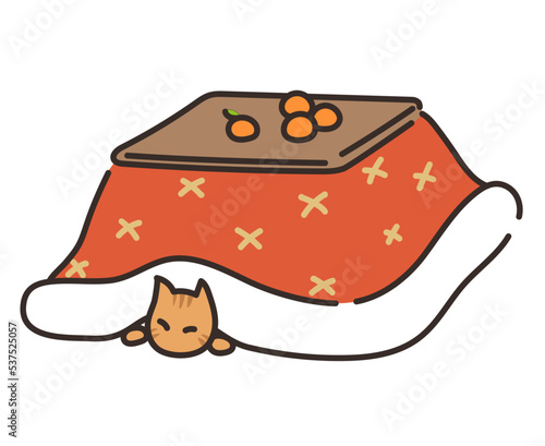 こたつとネコ
