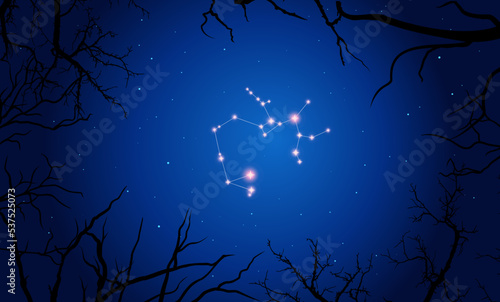   onstellation of Sagittarius. Stars on the blue night sky with silhouette of tree. Constellation scheme collection. Vector illustration