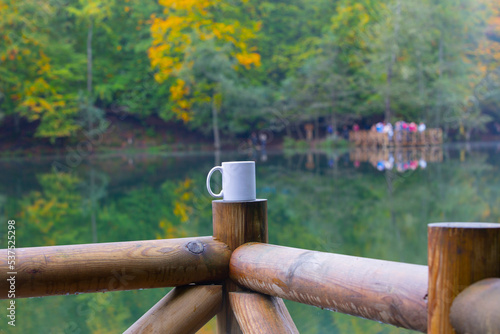 Autumn and coffee mug . photo