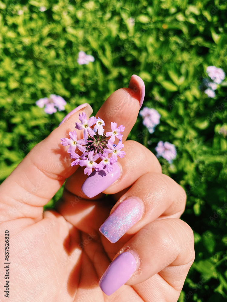 hands with pink flower