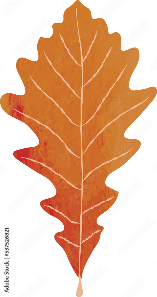 Obraz premium Watercolor oak leaf illustration