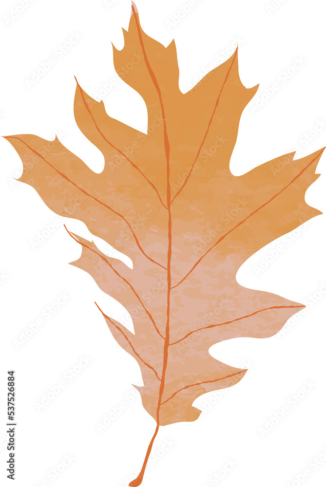 Obraz premium Watercolor maple leaf illustration