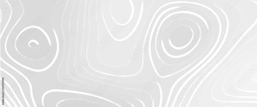 The stylized height of the topographic map contour in lines and contours. topography relief, Topographic map. Vector illustration of topographic panoramic map lines and contours, Geography scheme. 