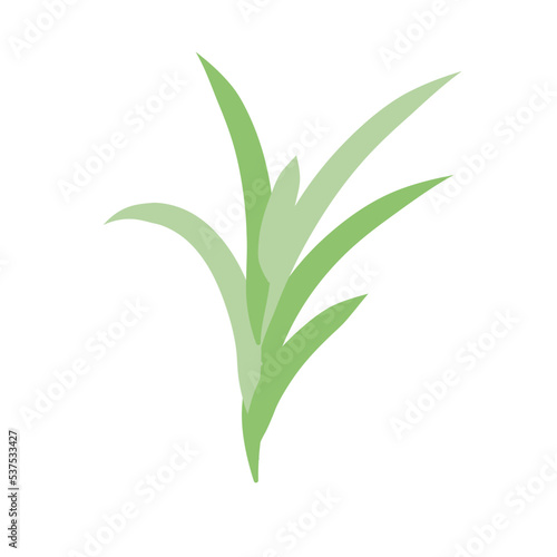 Nerdle Grass plant 