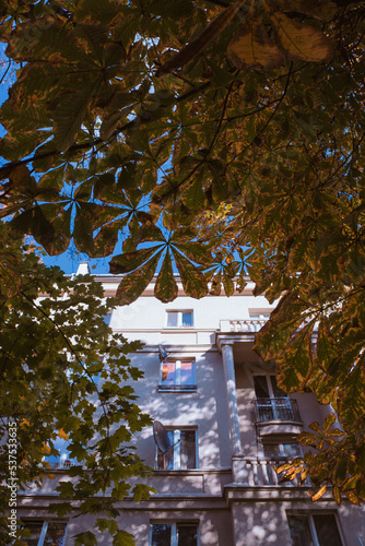 autumn in the city of Krakow 