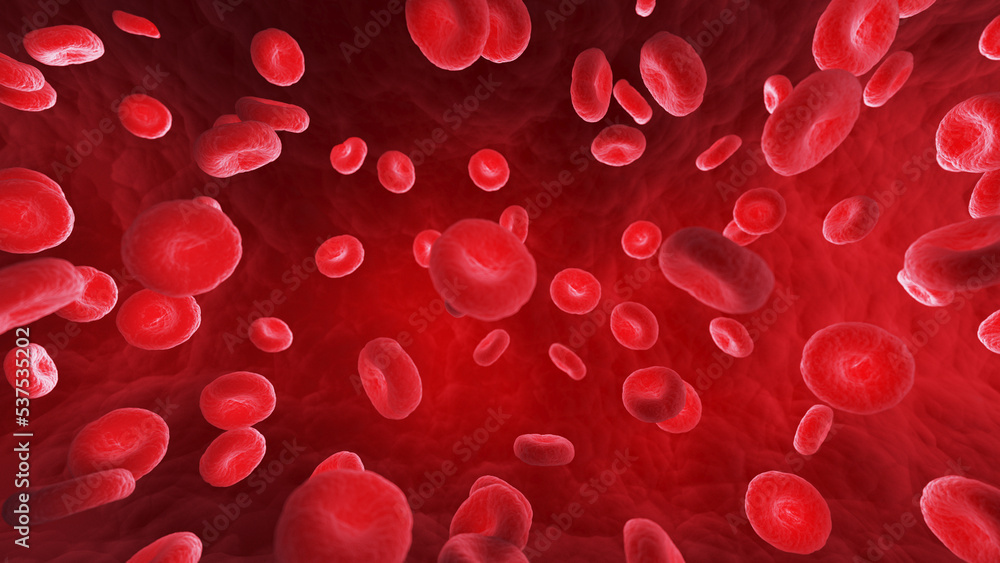 3d rendered medical illustration of red human blood cells 3d rendered medical illustration of red human blood cells