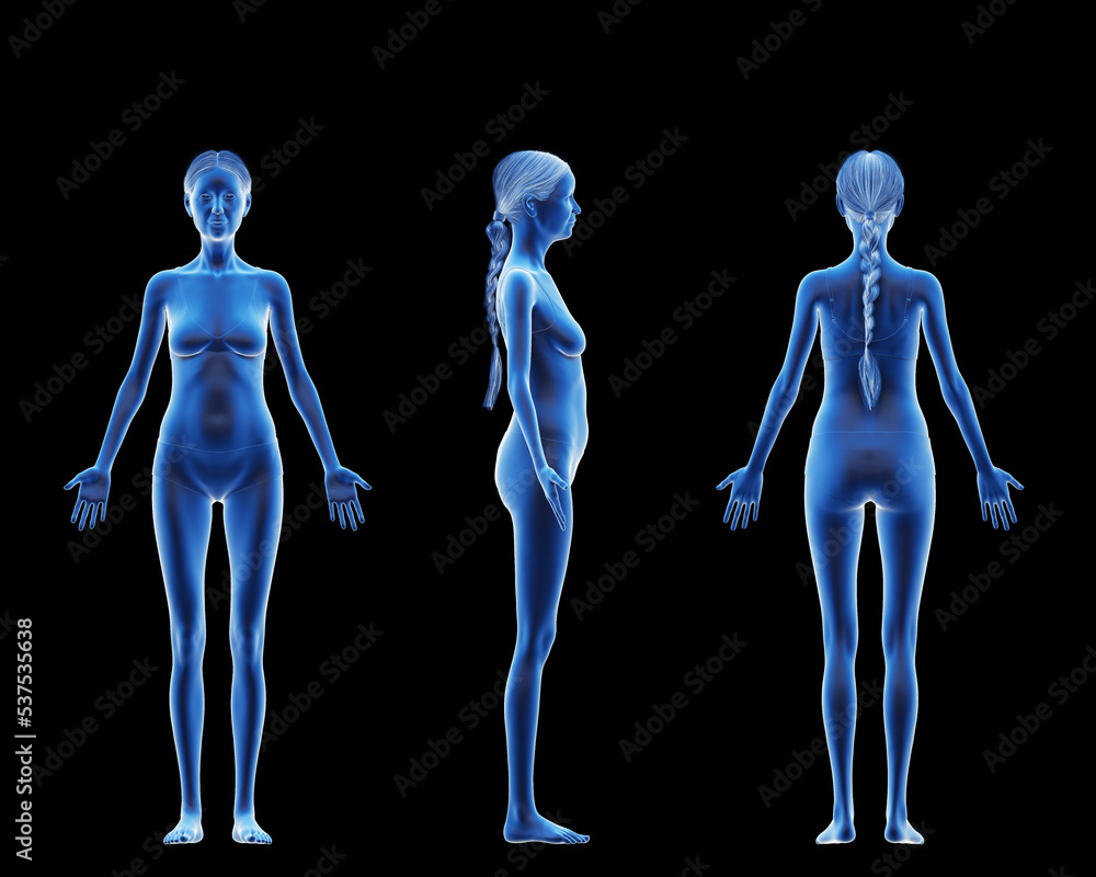 3d rendered medical illustration of an old womans body 3d rendered medical illustration of an old womans body