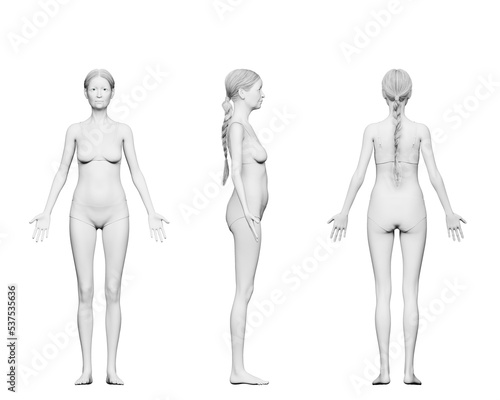 3d rendered medical illustration of an old womans body