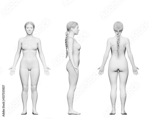 3d rendered medical illustration of a short female body