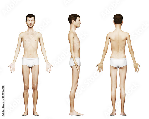 Tableau sur toile 3d rendered medical illustration of a thin male body
