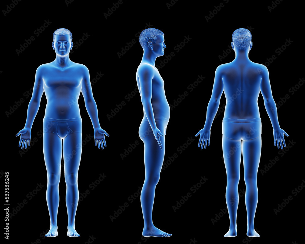 3d rendered medical illustration of an old male body 3d rendered medical illustration of an old male body