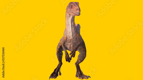 velociraptor roaring dinosaur isolated on yellow blank background