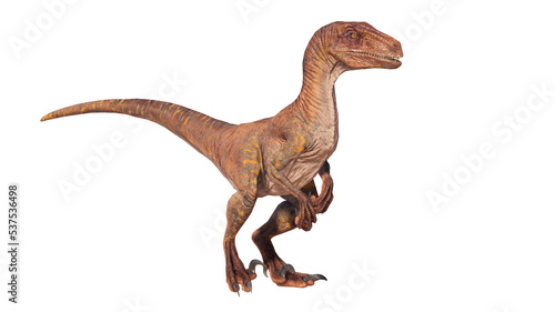velociraptor dinosaur roaring on a blank background PNG