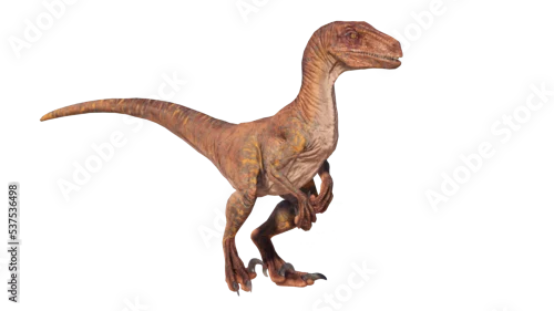 Obraz velociraptor dinosaur roaring on a blank background PNG