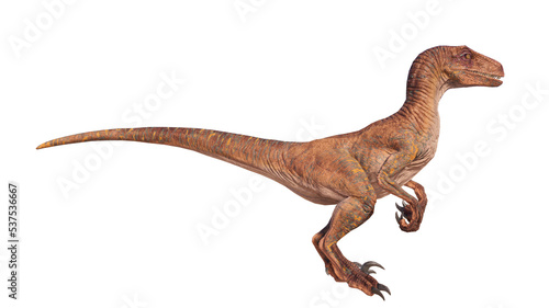 velociraptor dinosaur roaring on a blank background PNG © akiratrang