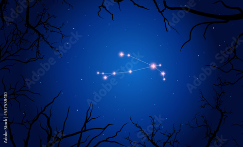 Сonstellation of Aries. Stars on the blue night sky with silhouette of tree. Constellation scheme collection. Vector illustration