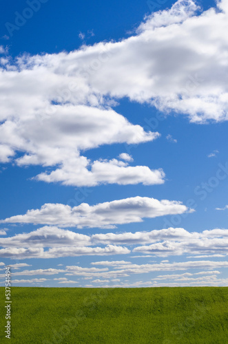 Empty Field of Green Grass with Blue Sky and Puffy White Clouds