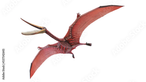 3d rendered dinosaur illustration of the Pterodaustro © Sebastian Kaulitzki