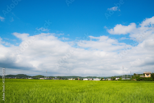 Tableau sur toile 田園風景