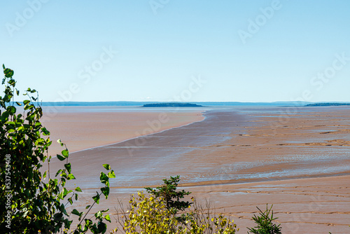 Landscape photo of shoreline, revealing mud flats at low tide, with island in the distance.