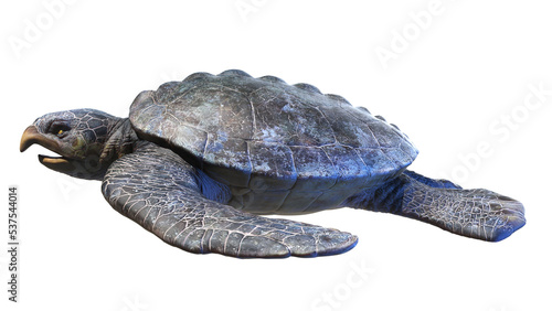 3d rendered dinosaur illustration of the Archelon