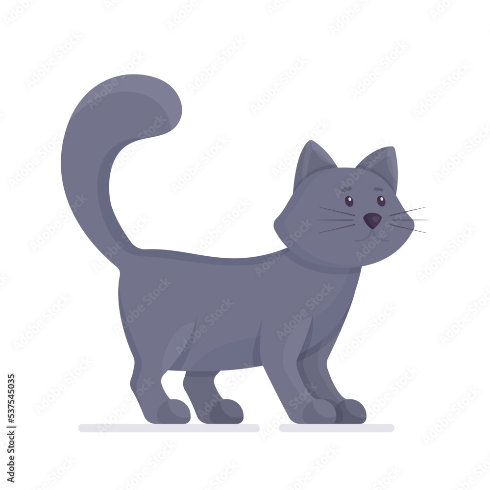 Vector illustration of a pet. Adorable gray kitten. The sulfur furry seal is isolated on a white background. 