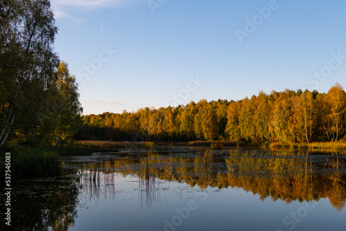 Fototapeta Naklejka Na Ścianę i Meble -  Pond in the park