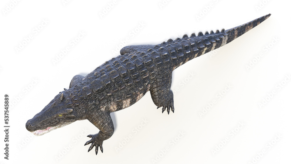 Fototapeta premium 3d rendered dinosaur illustration of the Kaprosuchus