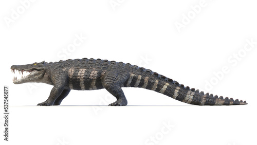 3d rendered dinosaur illustration of the Kaprosuchus © Sebastian Kaulitzki