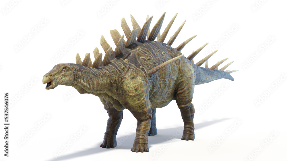 3d rendered dinosaur illustration of the Kentrosaurus 3d rendered dinosaur illustration of the Kentrosaurus