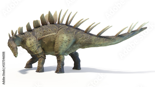 Fototapeta Naklejka Na Ścianę i Meble -  3d rendered dinosaur illustration of the Kentrosaurus