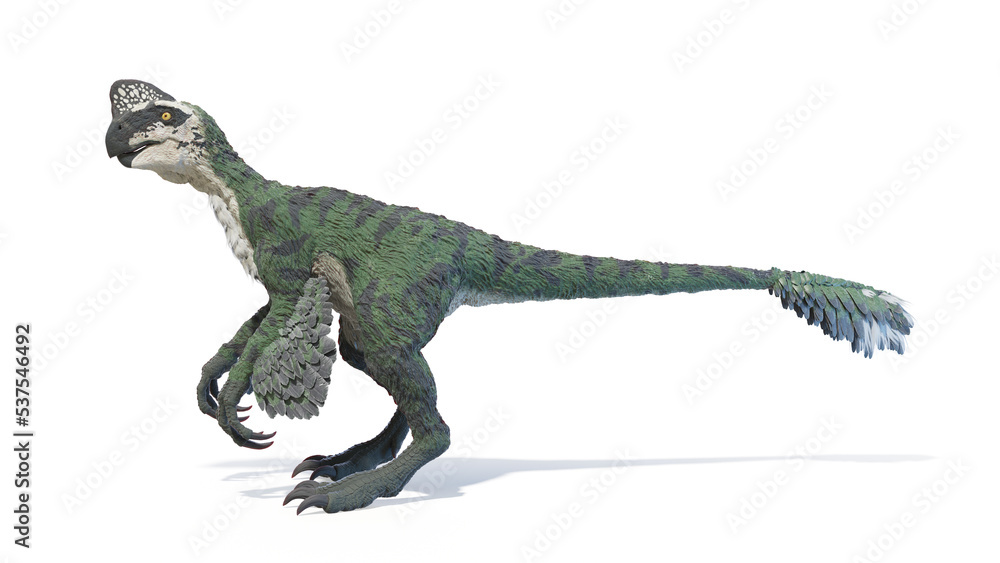 3d rendered dinosaur illustration of the Oviraptor 3d rendered dinosaur illustration of the Oviraptor
