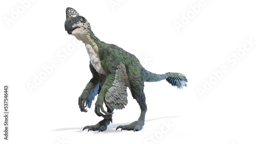 Fototapeta Naklejka Na Ścianę i Meble -  3d rendered dinosaur illustration of the Oviraptor