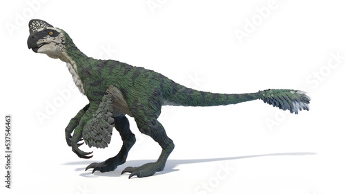Fototapeta Naklejka Na Ścianę i Meble -  3d rendered dinosaur illustration of the Oviraptor