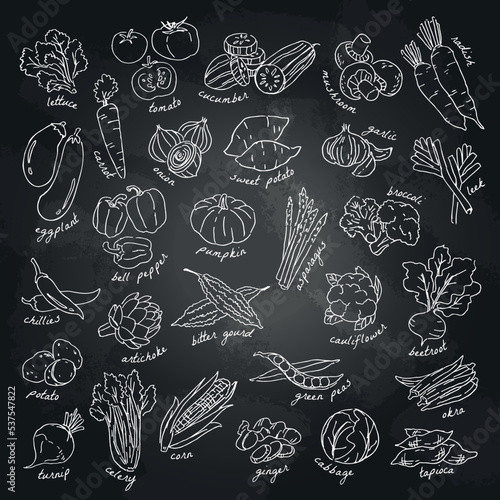 Hand-drawn vegetables set on blackboard. Food ingredients vector illustration.  photo