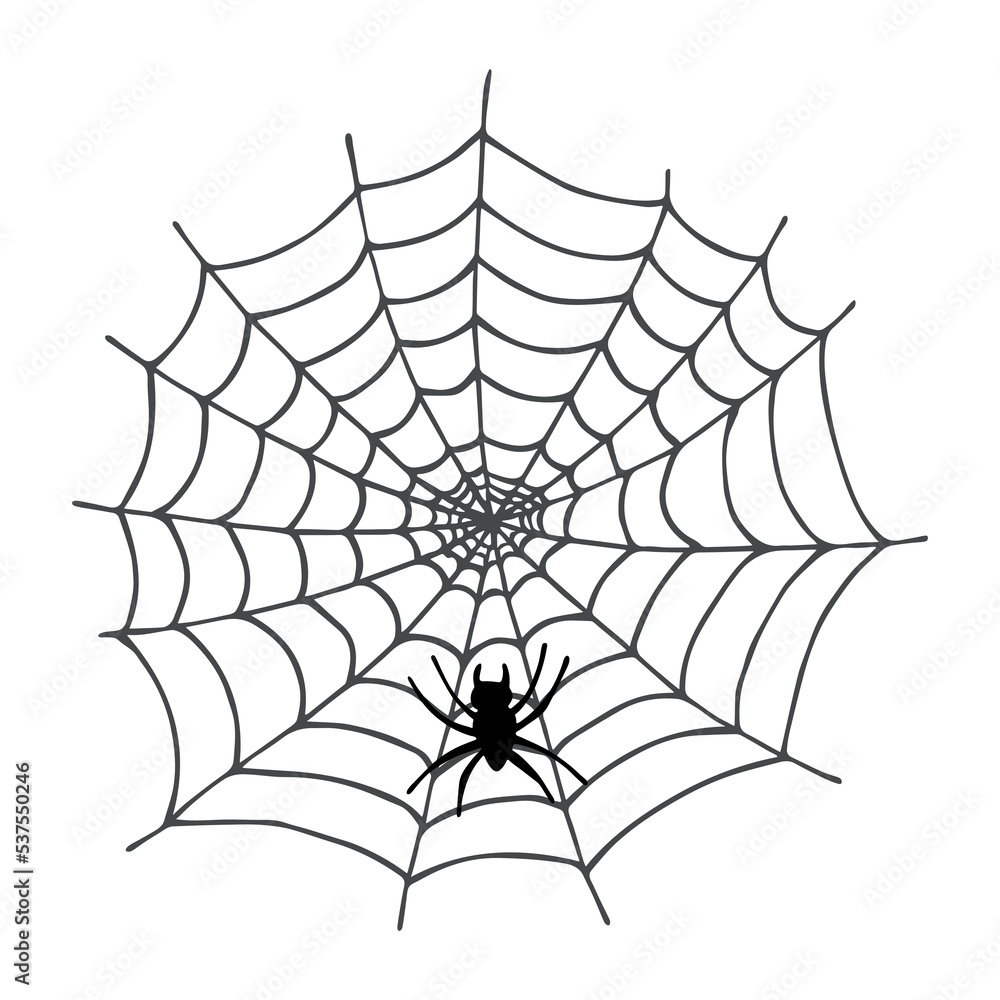 Obraz premium Simple hand drawn spider web illustration. Cute gossamer clipart. Halloween doodle for print, web, design, decor, logo