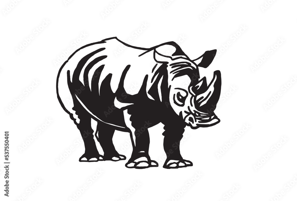 Vector illustration of rhino isolated on white background, graphics 