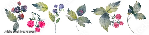 Berries set in watercolor. Colorful background with blackberries, raspberries, brunches and leaves. Natural illustration. Spring blossom. Collection for print and cards.
