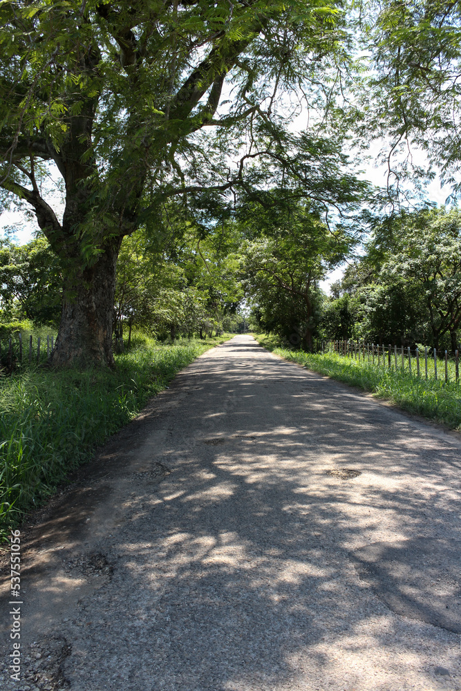 Carreteras de Panamá