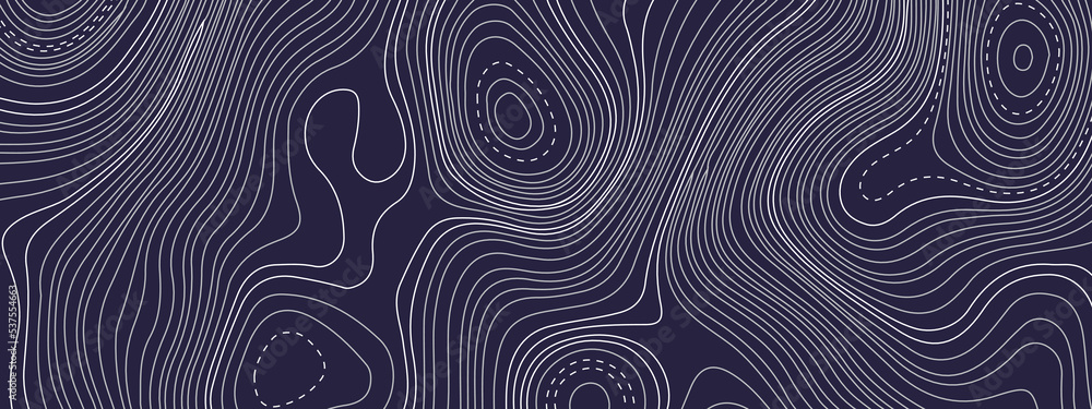 Fototapeta premium The stylized multicolored wavy abstract topographic map contour, lines Pattern background. Topographic map and landscape terrain texture grid. Wavy banner and color geometric form. Vector illustration