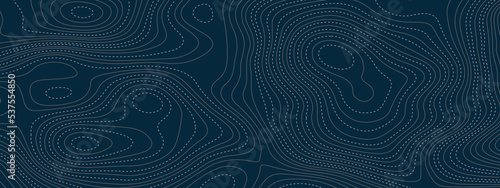 Blue and white wavy abstract topographic map contour, lines Pattern background. Topographic map and landscape terrain texture grid. Wavy banner and color geometric form. Vector illustration.