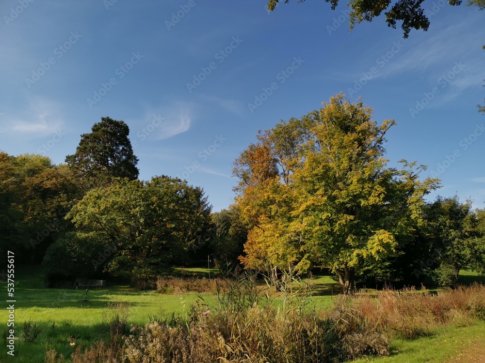 Fototapeta premium Herbst