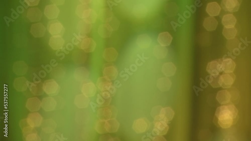 Wallpaper Mural  Blurred background of meteoric multi colored garland, festive background for christmas. Close-up. Torontodigital.ca