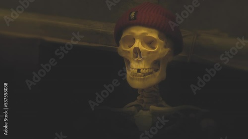 Wallpaper Mural A skull in a knitted hat in a dark room. Torontodigital.ca